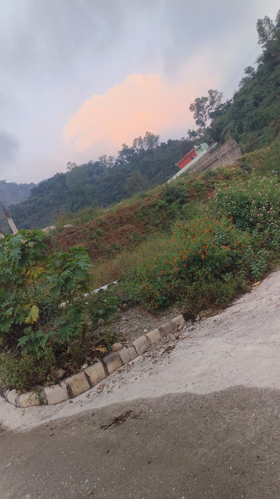 Residential for Sale in Mussoorie, Uttarakhand – photo 4