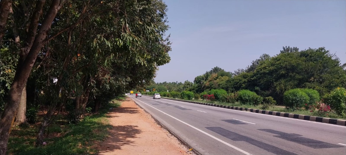 Commercial Land for Sale - Nelamangala Taluk in Nelamangala Town, Karnataka – photo 2