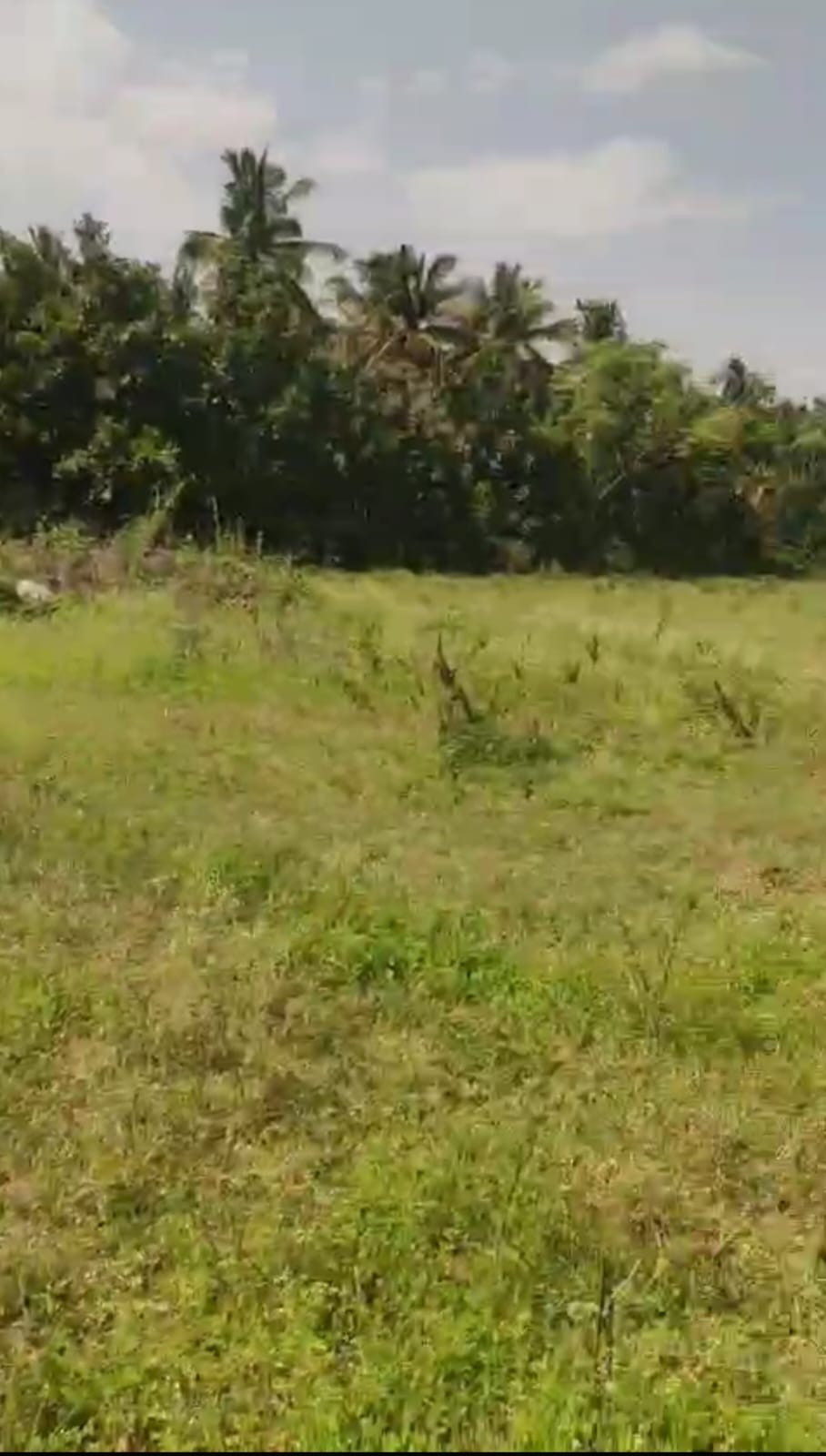 Commercial Land for Sale - Nelamangala Taluk in Nelamangala Town, Karnataka – photo 2