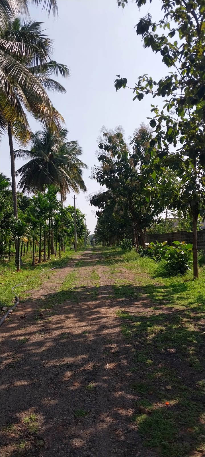 Commercial Land for Sale - Nelamangala Taluk in Nelamangala Town, Karnataka – photo 4