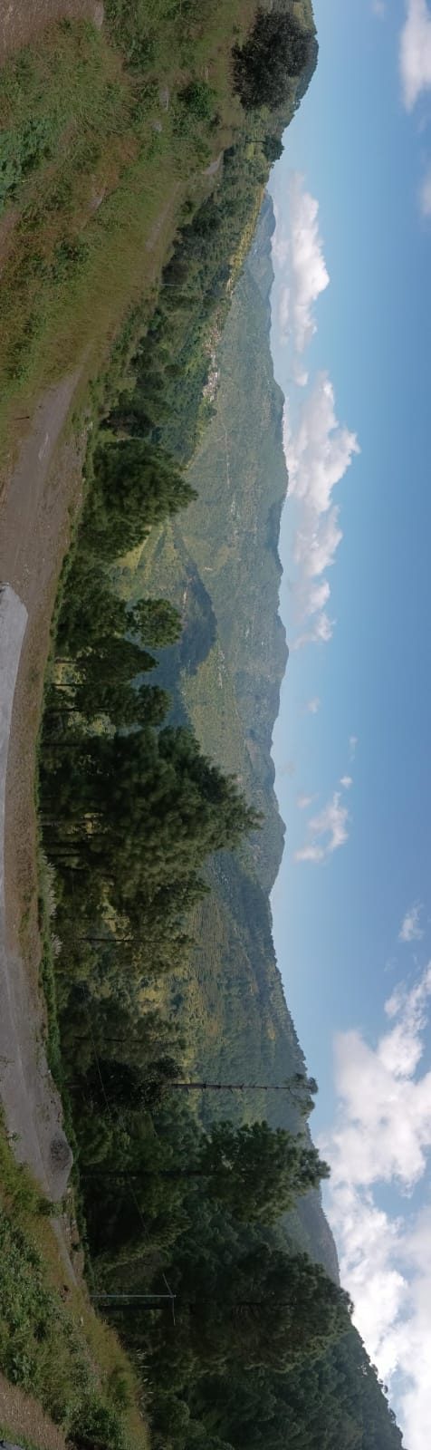 plot in Uttrakhand vibes in Devi khet Road, Bamoli, uttrakhand – photo 1