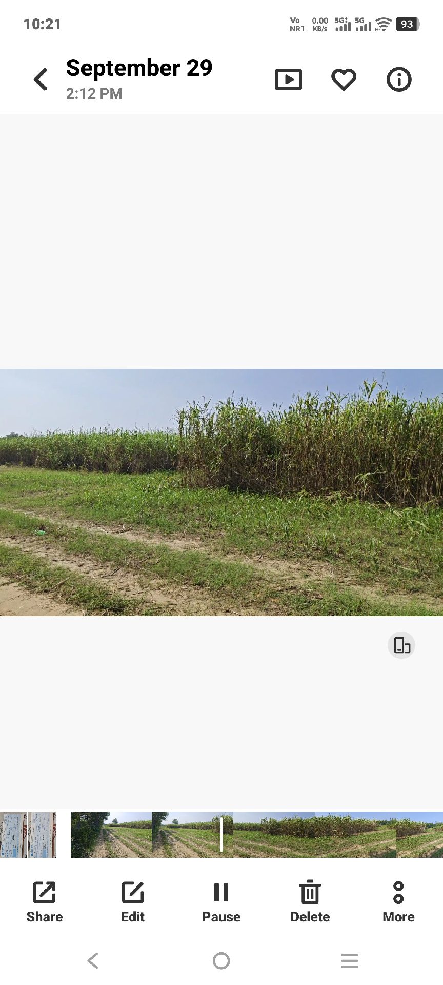 15 Acres Agreeculture Land in Chhata – photo 1