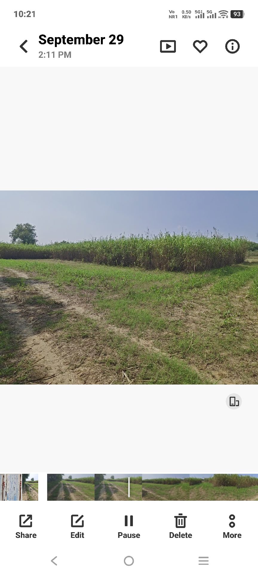 15 Acres Agreeculture Land in Chhata – photo 2